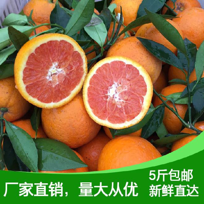 包含快手1万红心是多少钱?点亮红心有什么用?-范小错的词条 包含快手1万红心是多少钱?点亮红心有什么用?-范小错的词条