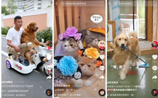 快手低价秒刷双击的简单介绍 快手低价秒刷双击的简单介绍