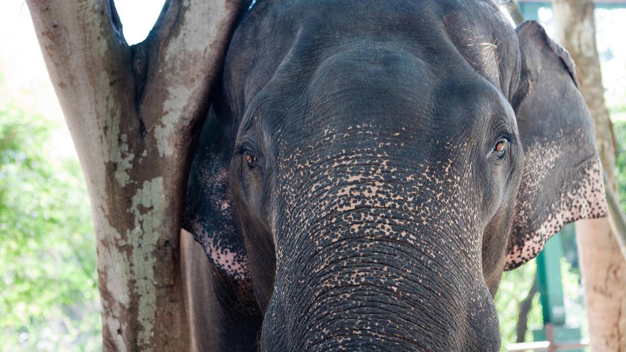 十年代刷网(十年代刷网之窝) 十年代刷网(十年代刷网之窝)