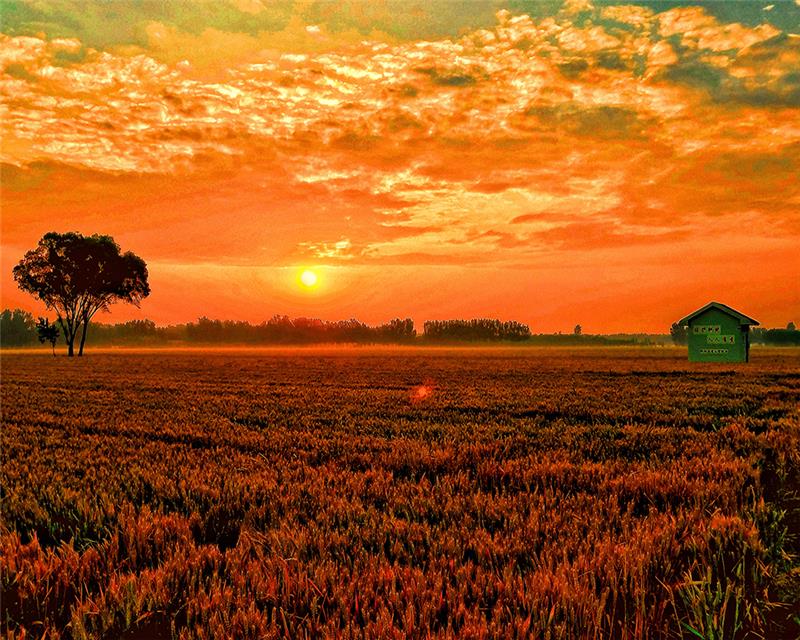 晨曦刷网站(晨曦代刷会员) 晨曦刷网站(晨曦代刷会员)