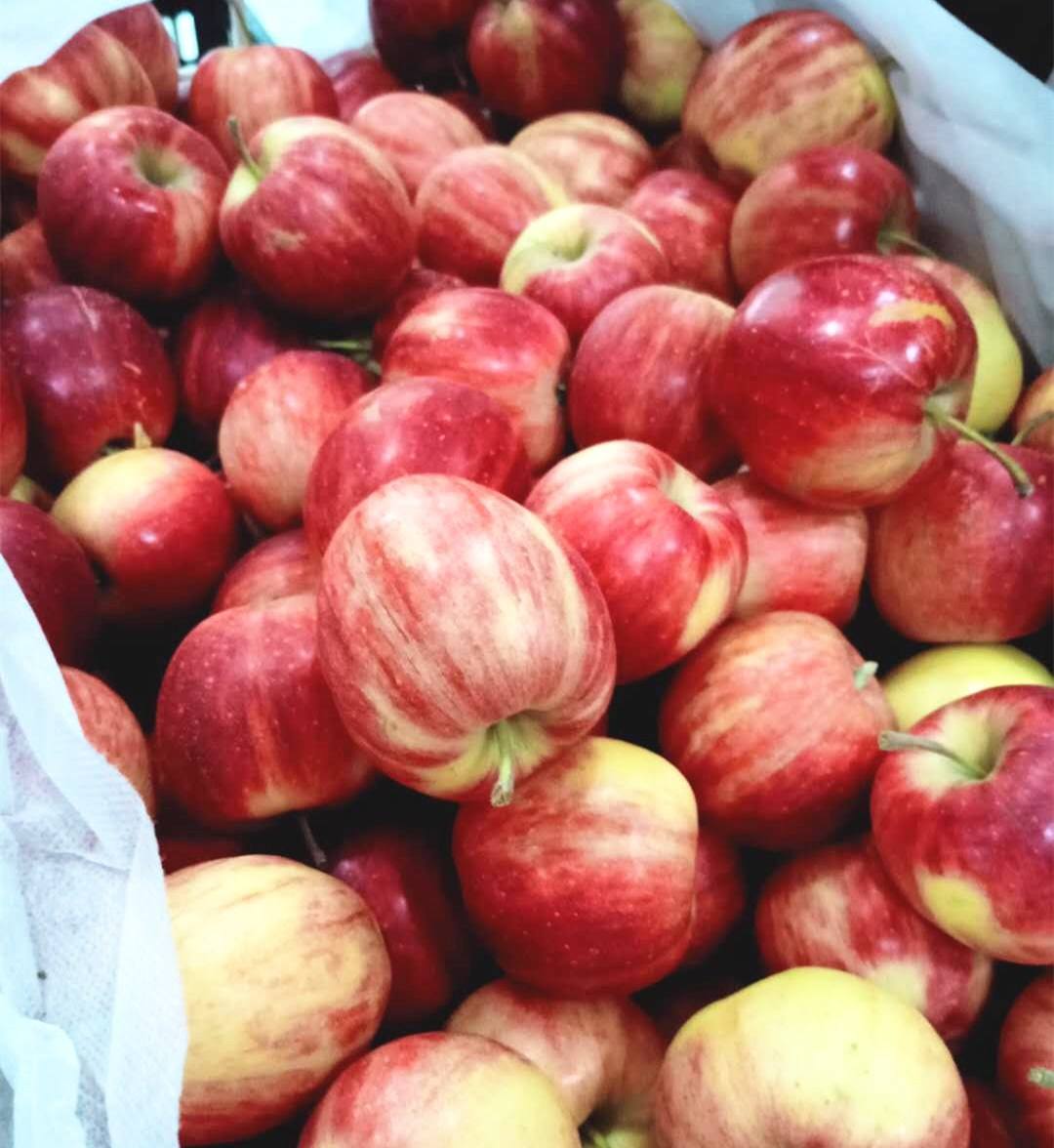 小苹果代刷_小苹果代刷网为什么做的好 小苹果代刷_小苹果代刷网为什么做的好