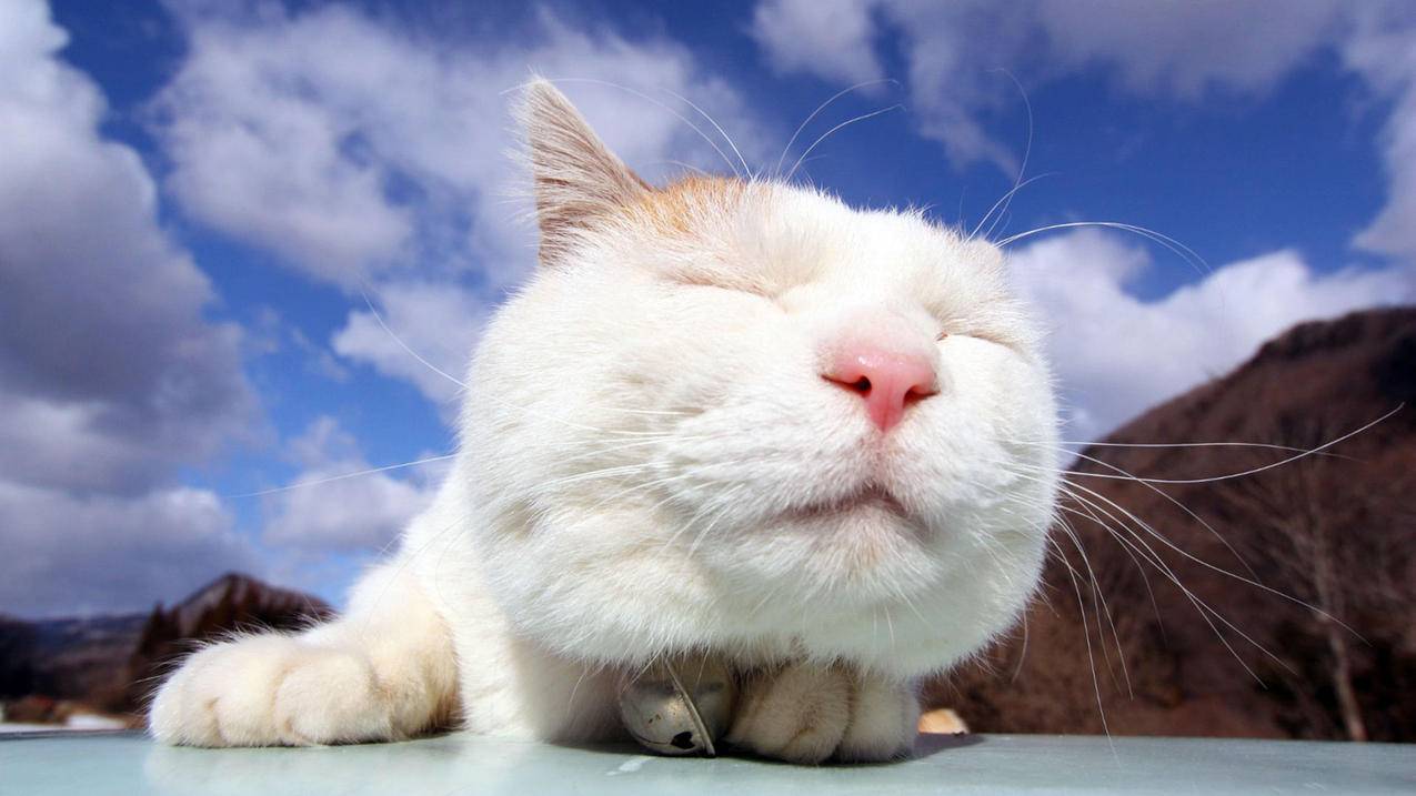 包含快手低价代网站刷业务平台的词条 包含快手低价代网站刷业务平台的词条