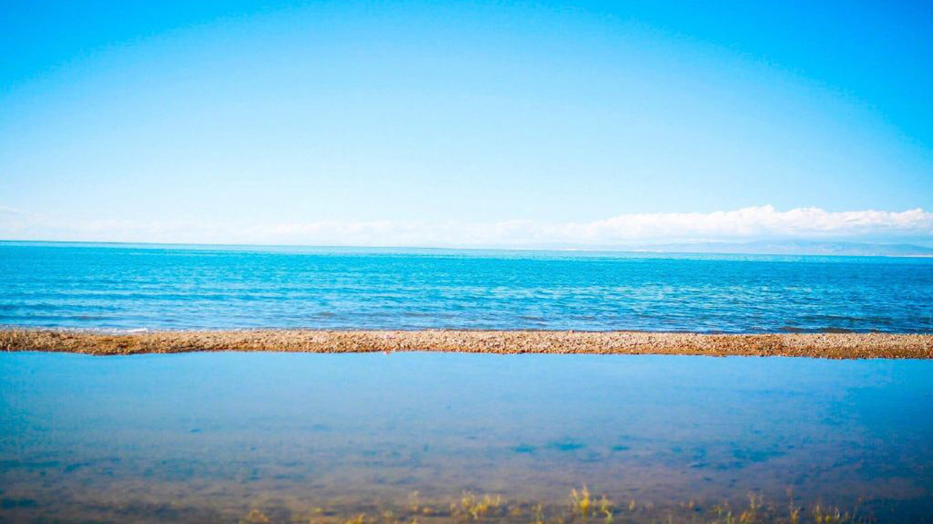 包含刷快手赞网站免费是全网最低价的的词条 包含刷快手赞网站免费是全网最低价的的词条