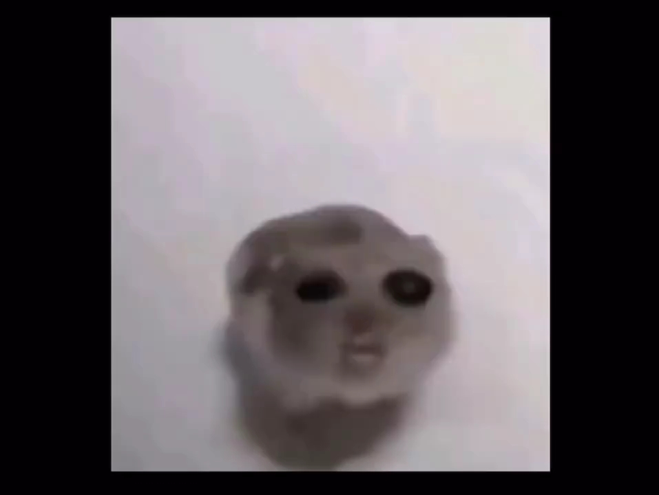 1元10000个赞的简单介绍