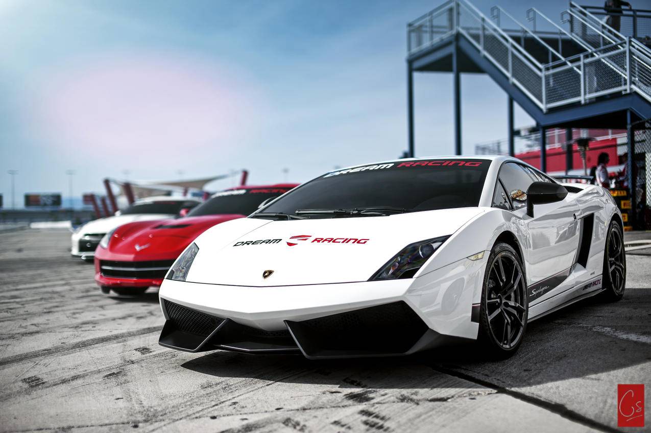 关于在线快手业务秒刷的信息 关于在线快手业务秒刷的信息